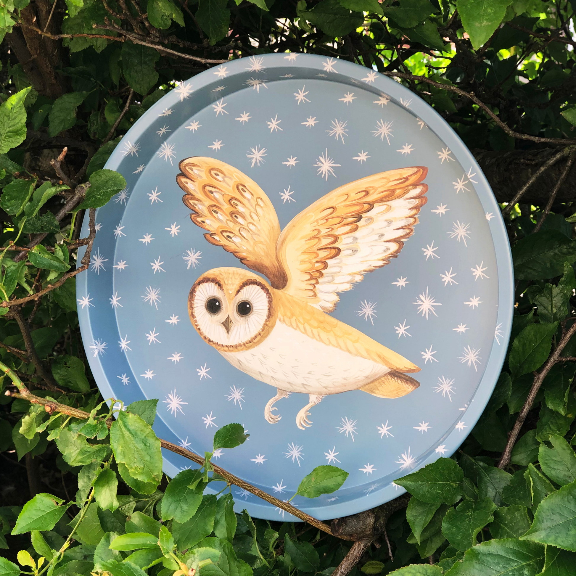 Dog & Dome - Deep Well Tray - Kitchentins.com