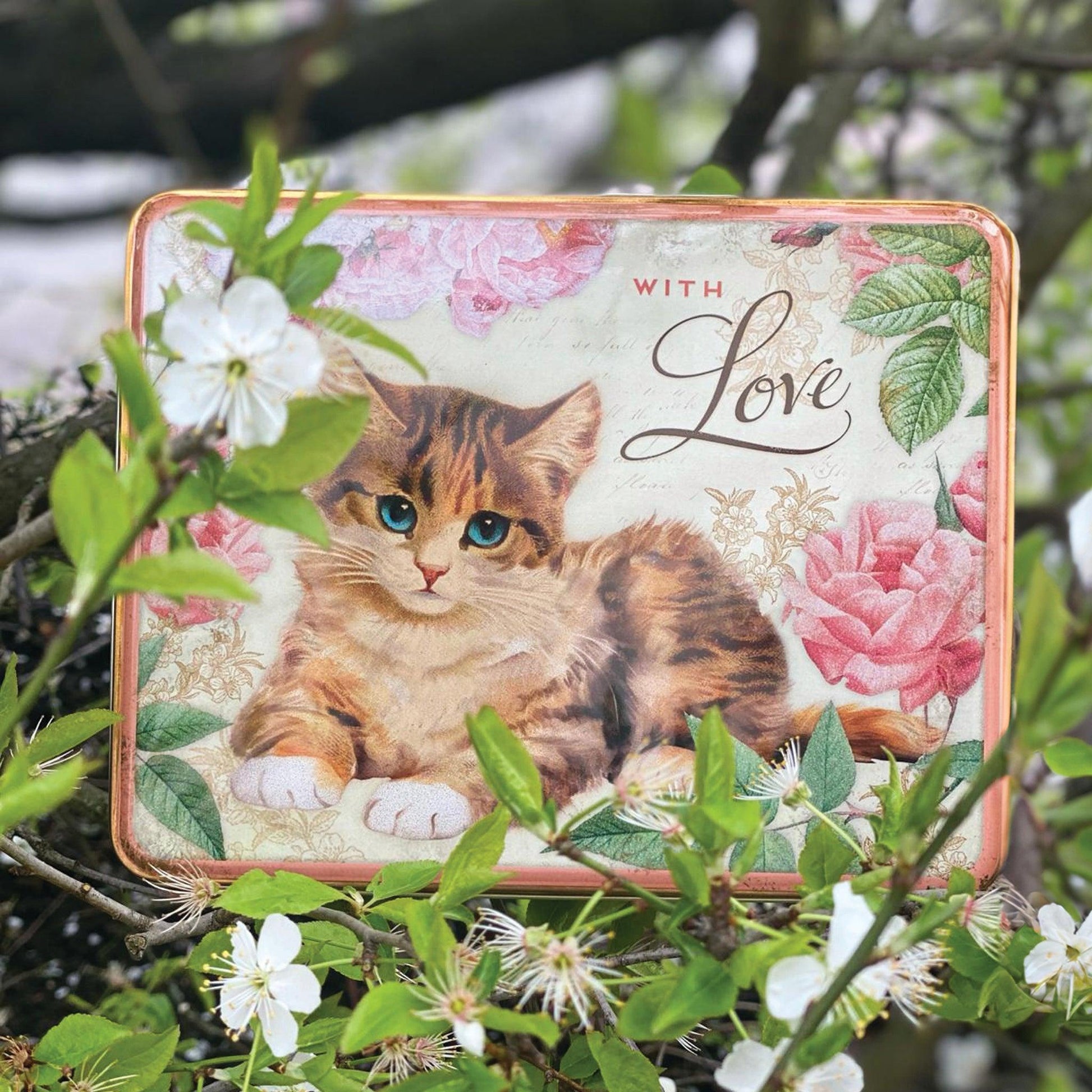 Nostalgia - 'With Love' Kitten Deep Rectangular Tin - Kitchentins.com