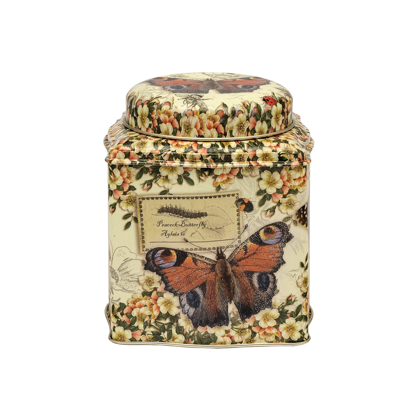 Nostalgia - Vintage Butterflies Wavy Dome Lid Caddy - Kitchentins.com