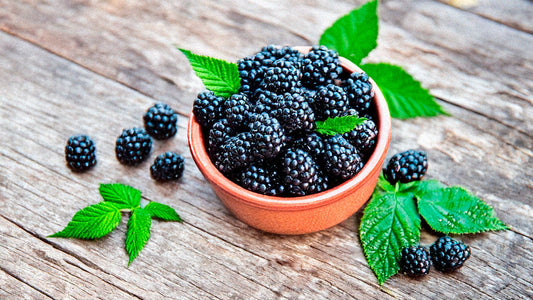 Indulge in Our Delicious Blackberry Oaty Traybake Recipe - Kitchentins.com