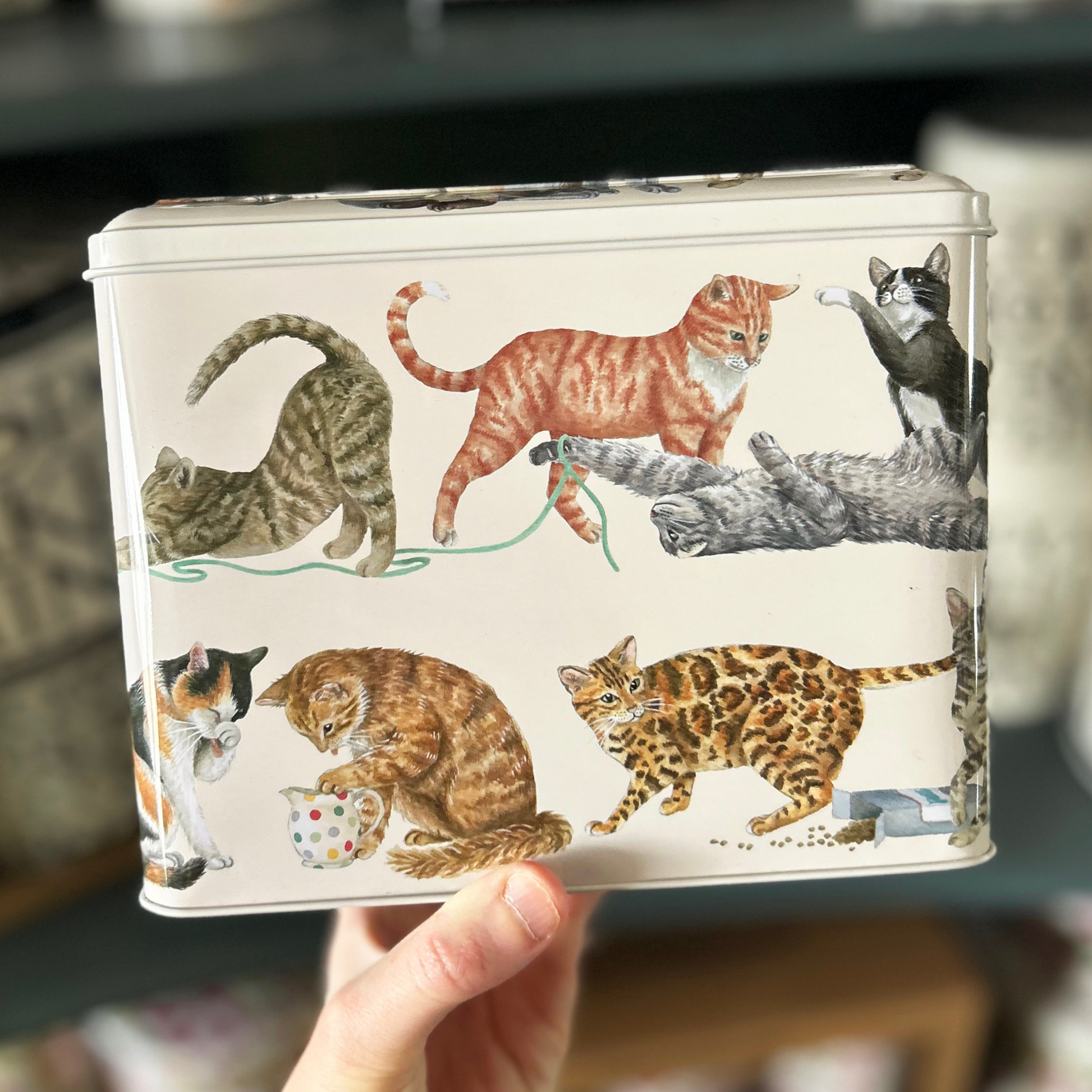 Kitchentins - Emma Bridgewater Cats Extra Large Caddy Tin