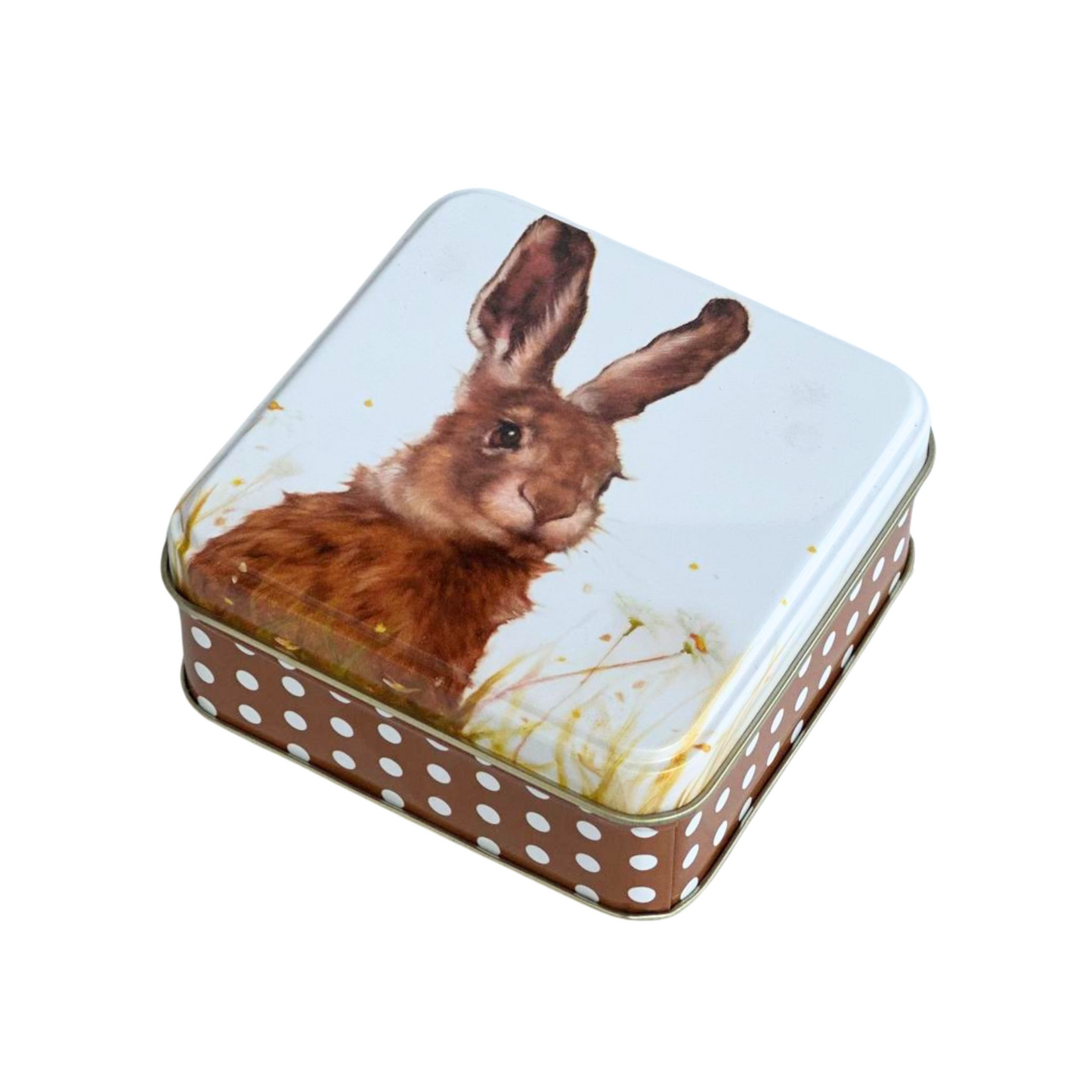 Kitchentins - Jo Stockdale Countryside Friends Hare Design Tin