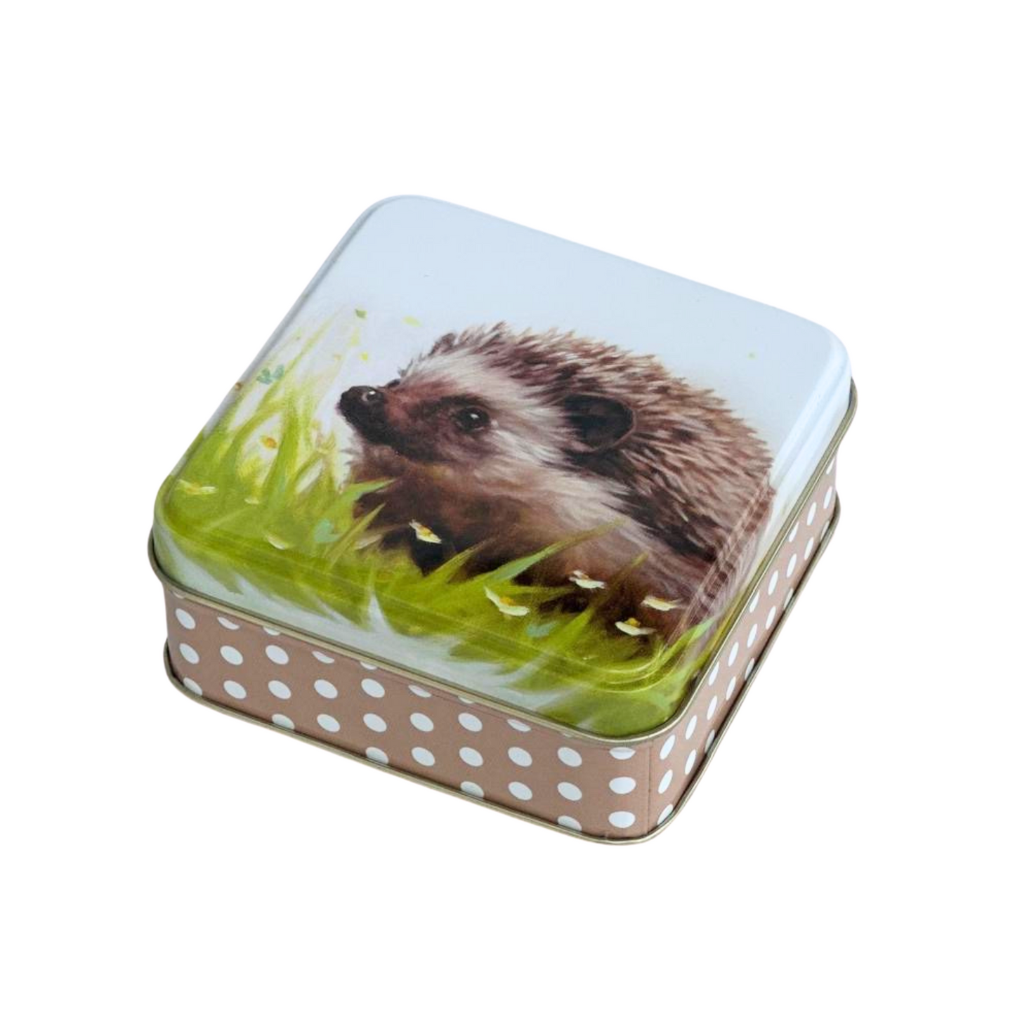 Kitchentins - Jo Stockdale Countryside Friends Hedgehog Design Tin