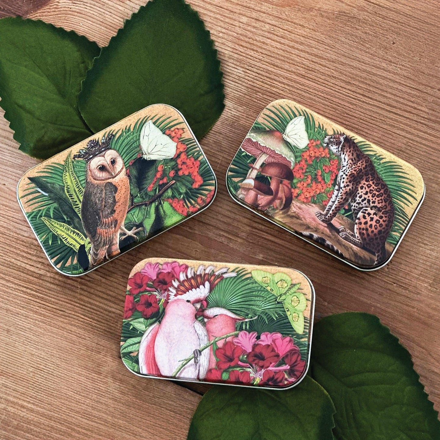 Kitchentins - Madame Treacle - Set of 3 small tins, One with an Owl, one leopard and vibrant pink bird.