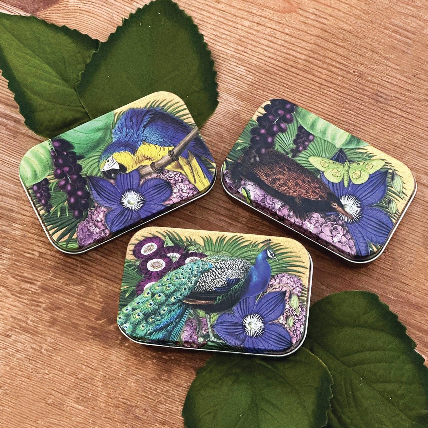 Kitchentins - Madame Treacle Set of 3 Small Tins - all featuring a vibrant purple flower, each with a different exotic animal 