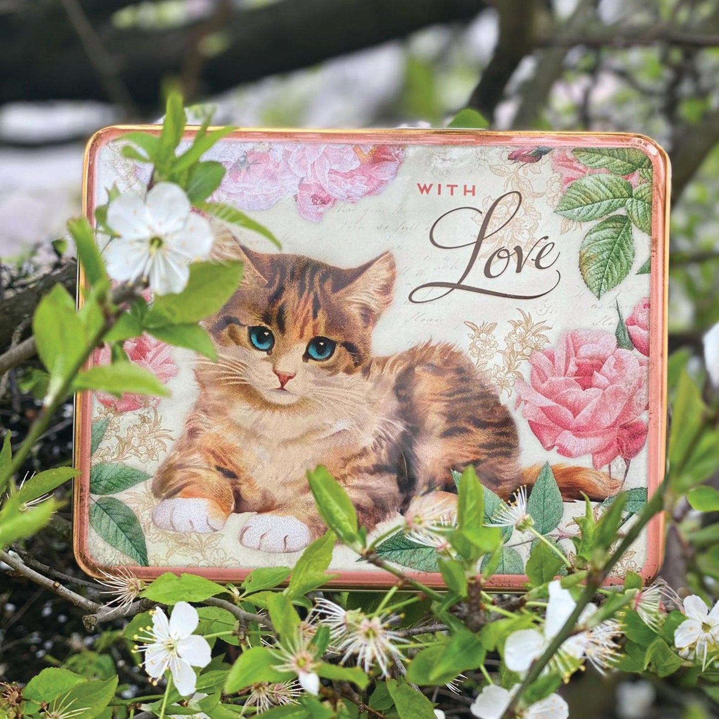 Kitchentins - Elite Gift Boxes - Nostalgia 'With Love' Kitten deep rectangular