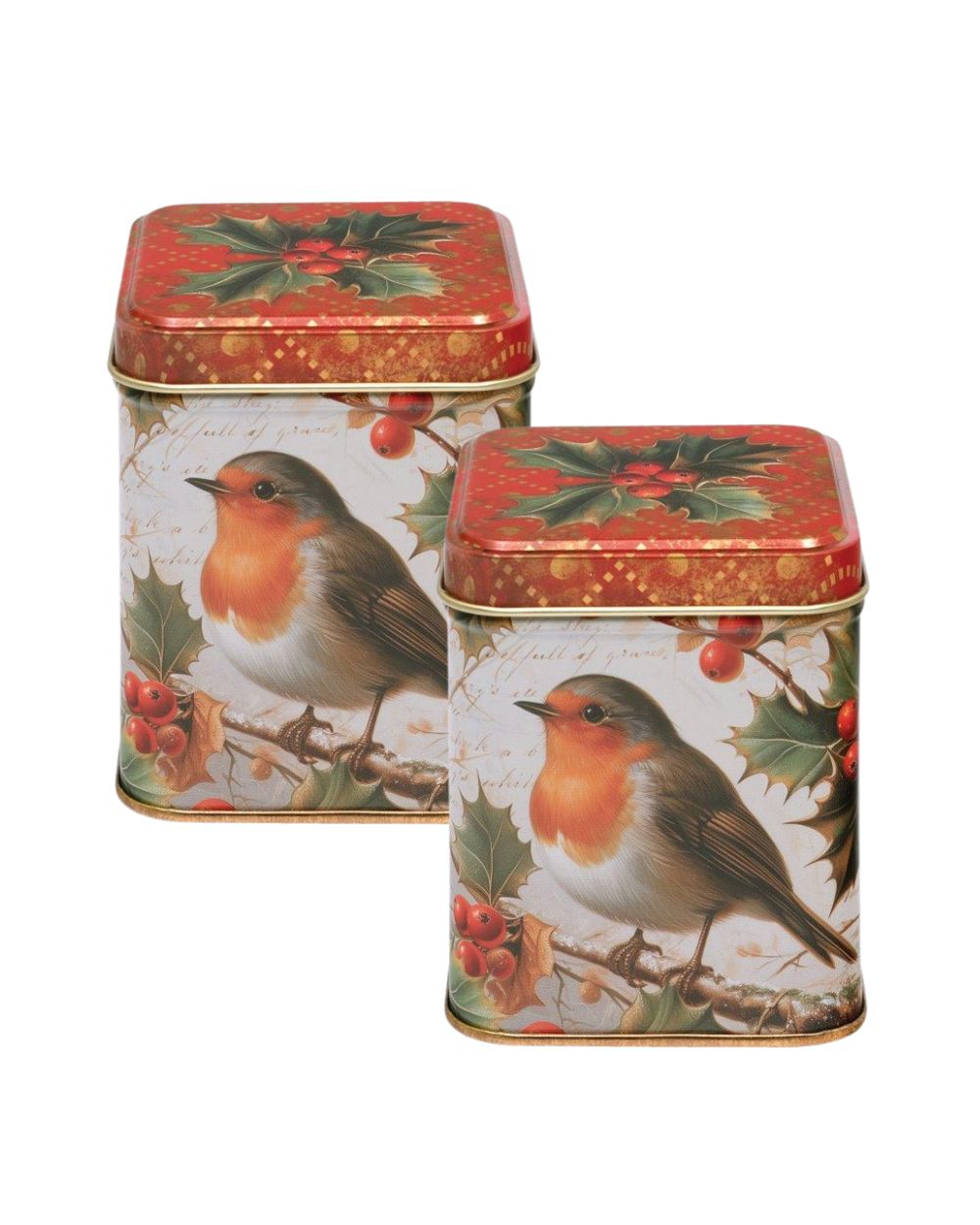 Robin Small Square Tins, Set of 2