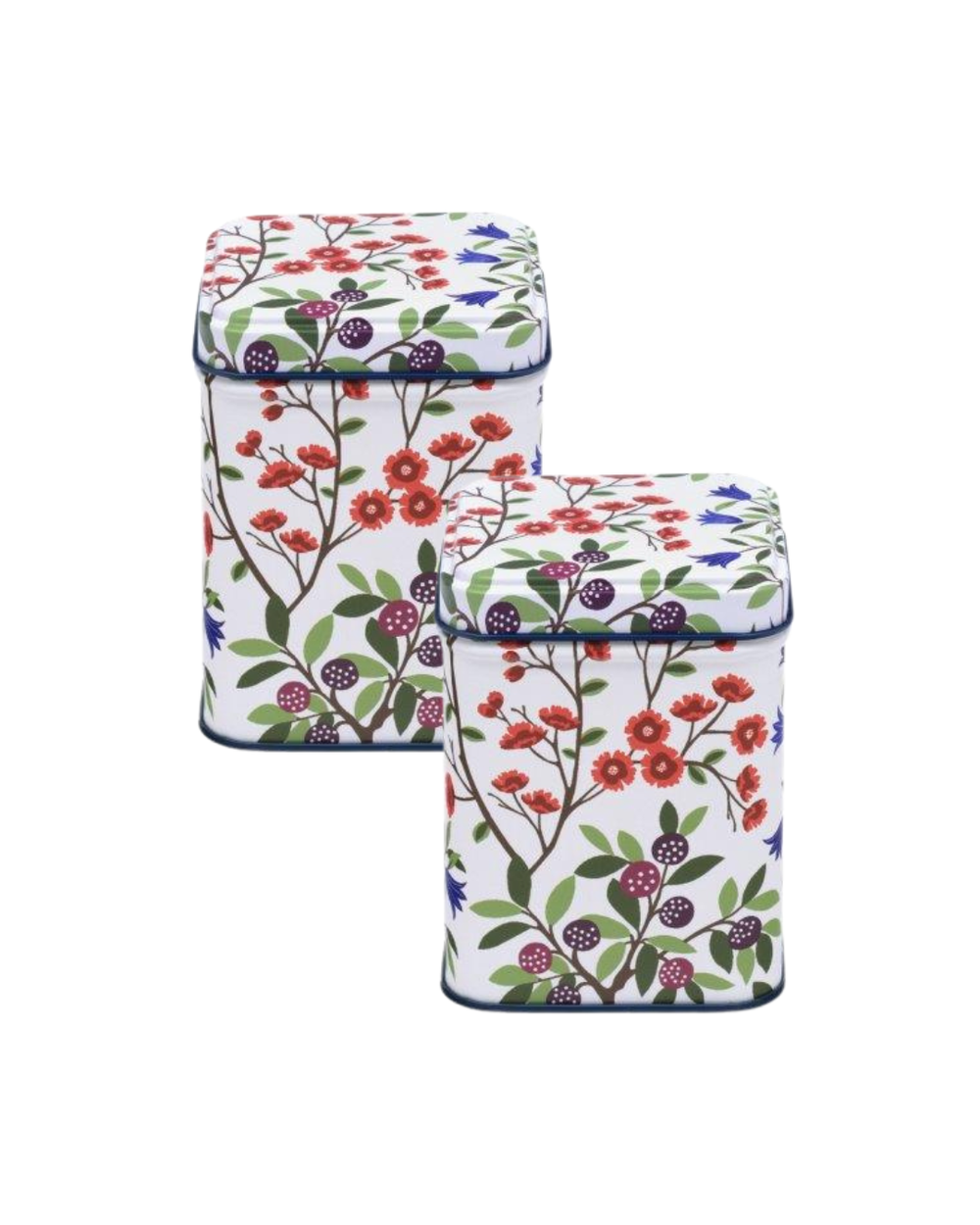 Sanderson - Foraging Small Square Tin, Set of 2