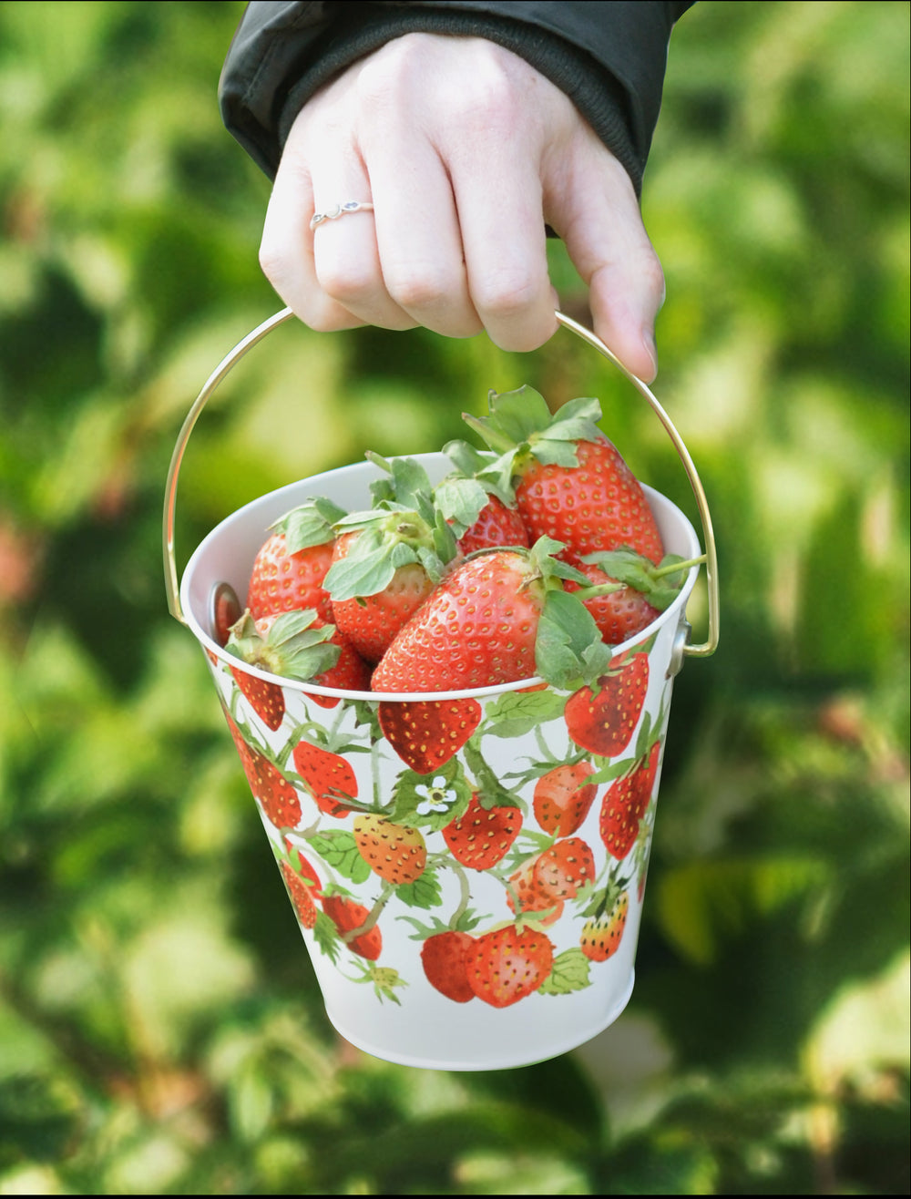 Emma Bridgewater - Strawberry Bucket tin