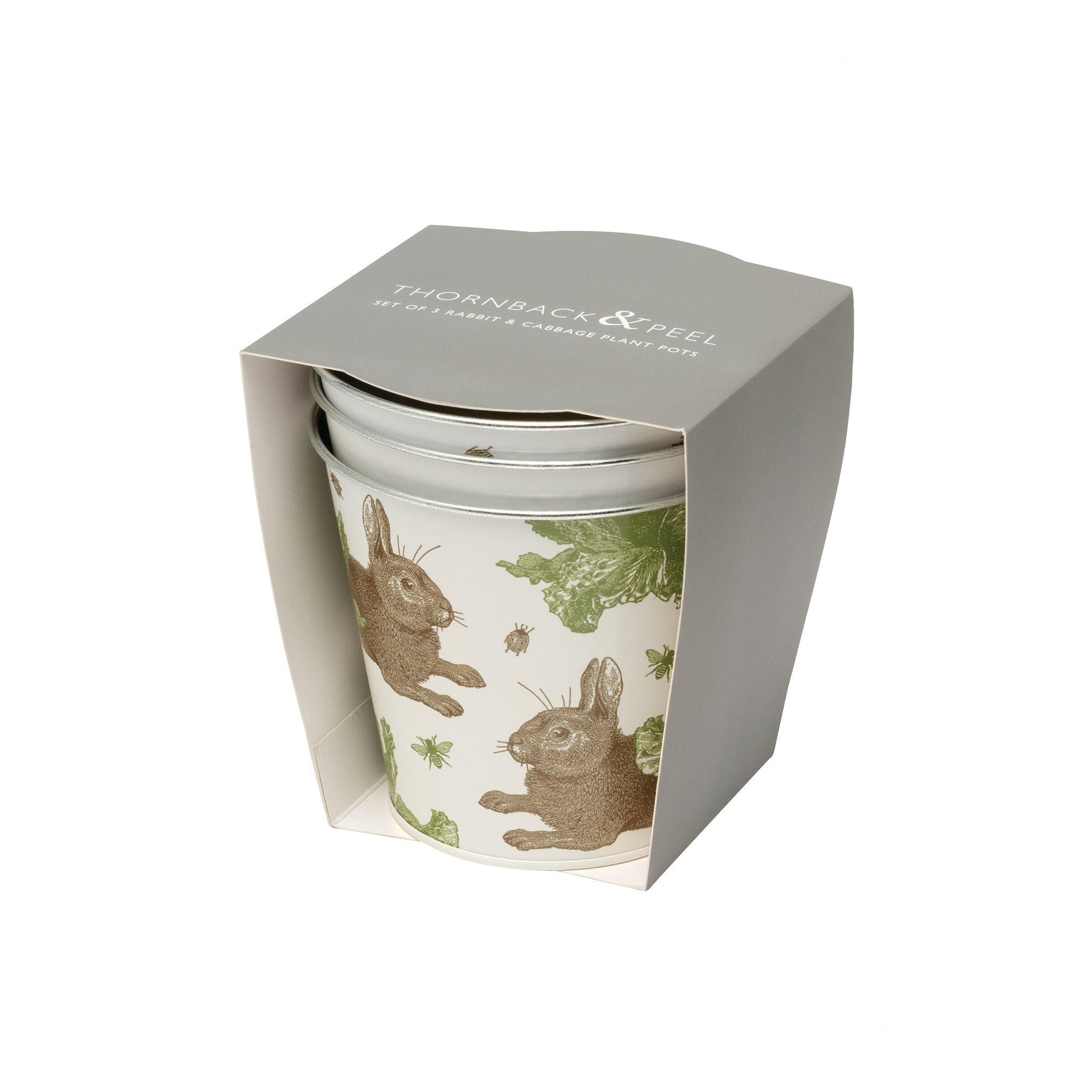 kitchentins - Thornback and Peel set of 3 herbs pots printed with the signature brown rabbit and vibrant green cabbages