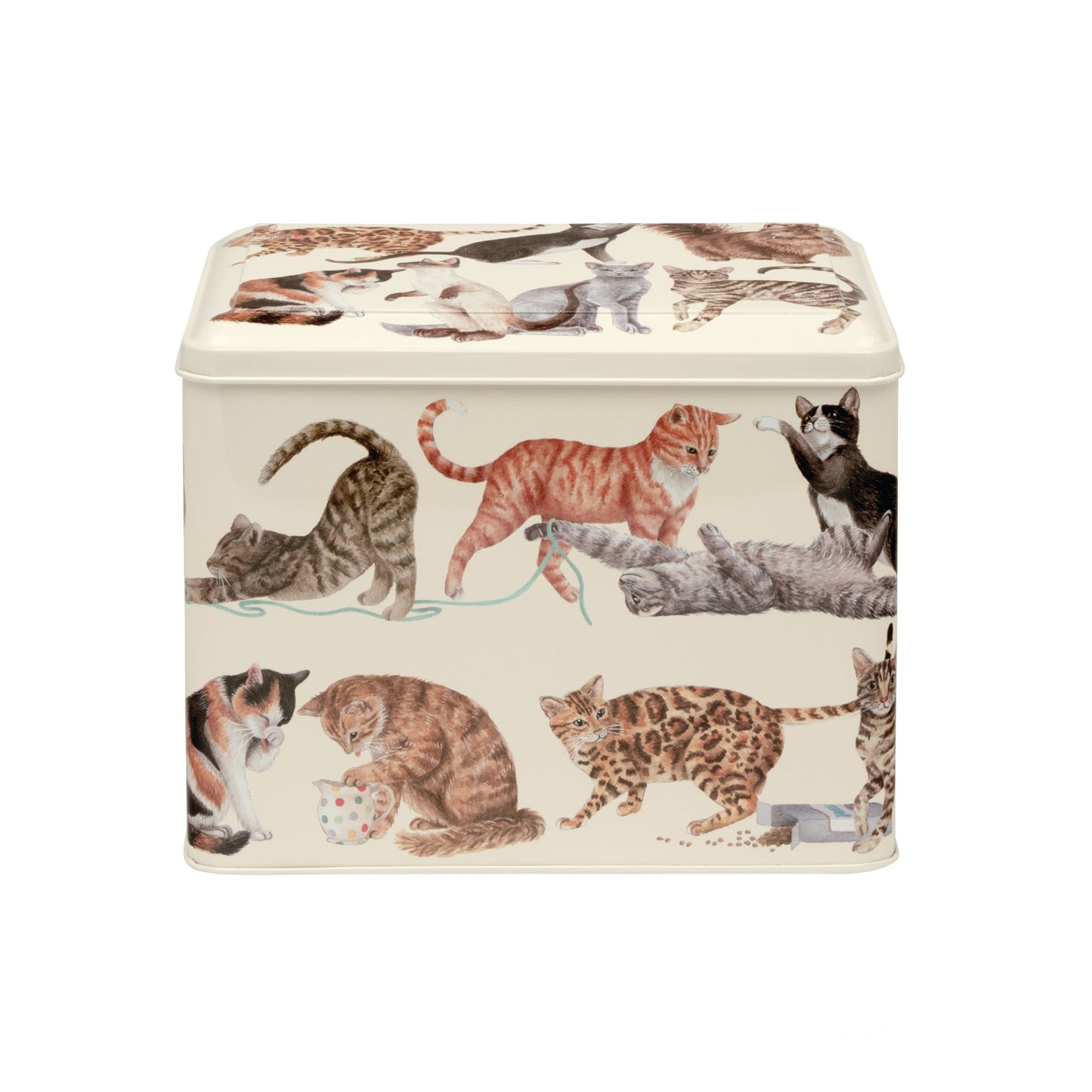 Emma Bridgewater - Cats Extra Large Caddy Tin - Kitchentins.com