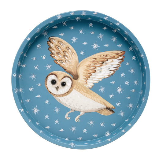 kitchentins - Dog and Dome Round tin tray. A sky blue round tin tray with a white barn owl in the centre surrounded by stars. Artwork by Dog & Dome.