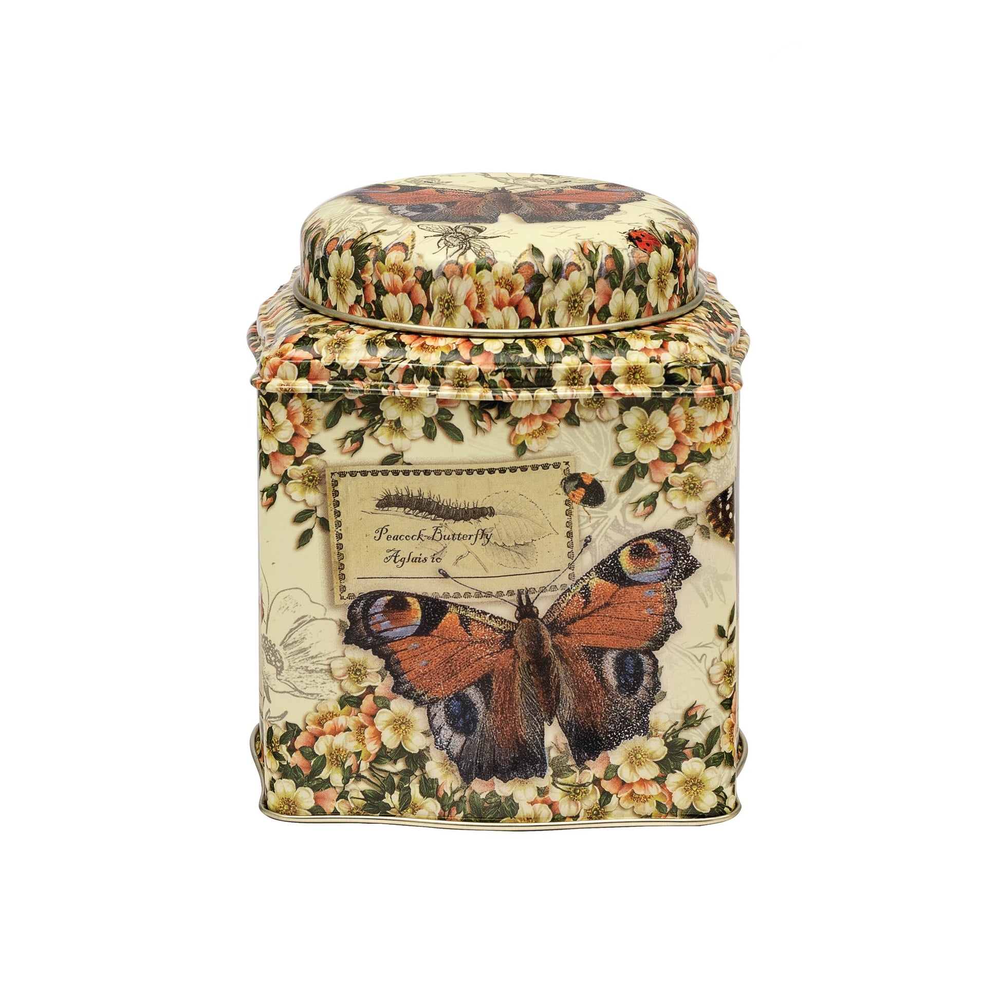 kitchentins -Nostalgia Vintage butterflies Wavy Dome Lid Caddy. Featuring a variety of different butterflies. 