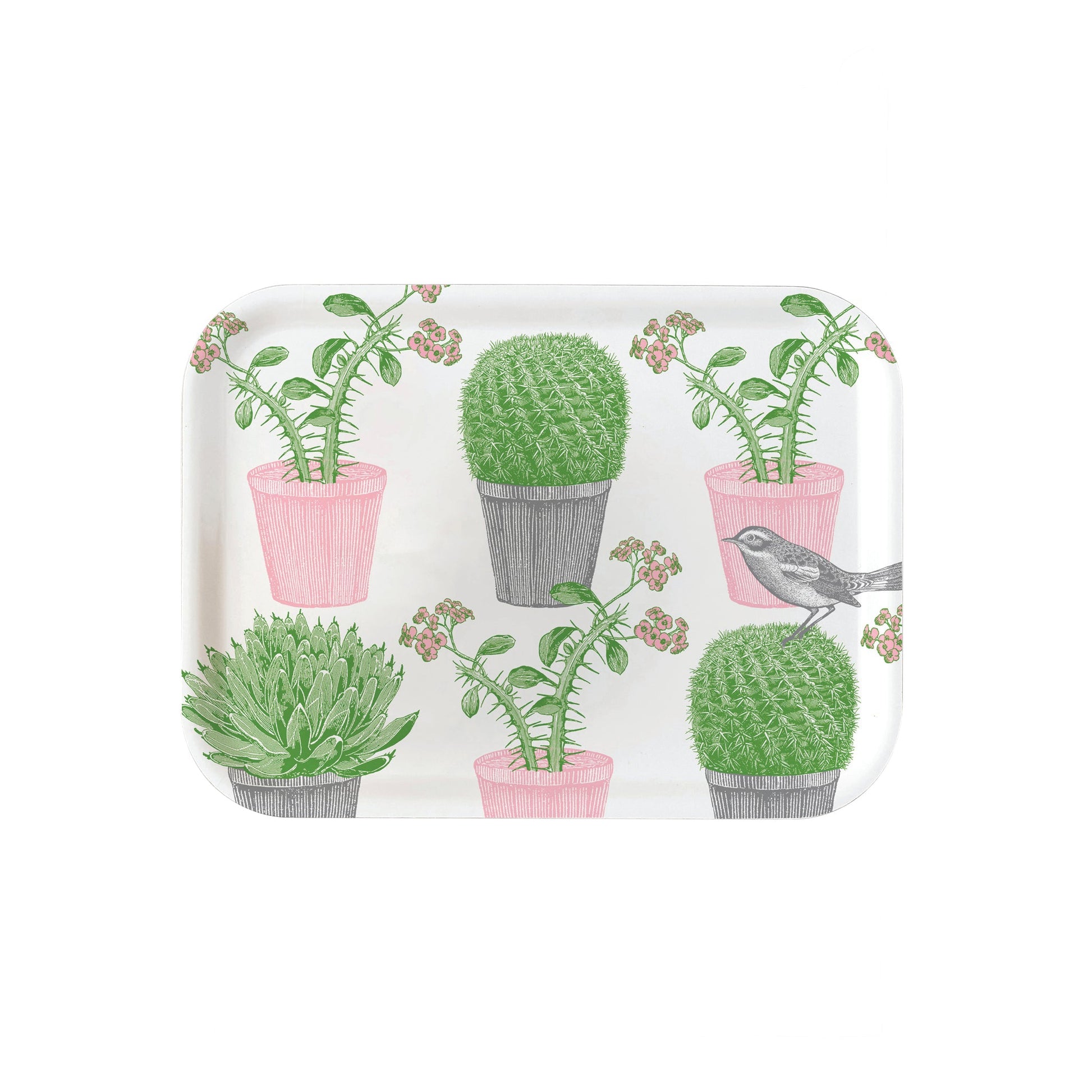 kitchentins - Thornback and Peel small rectangular birchwood tray. Featuring pale pink and green potted succulents and a little bird hopping amongst them. 