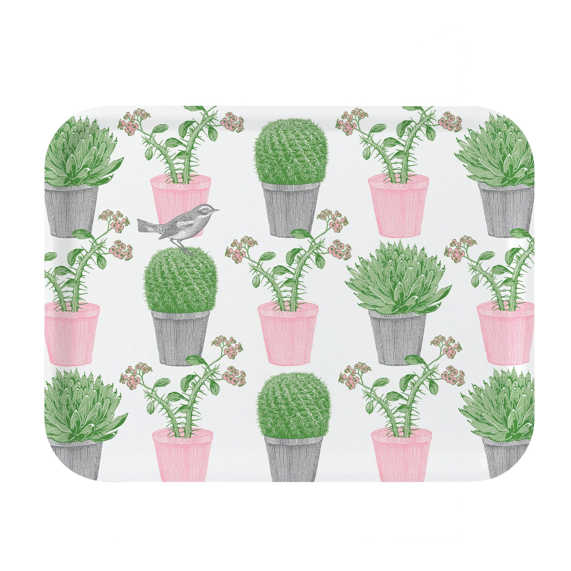 kitchentins - Thornback and Peel large rectangular birchwood tray. Featuring pale pink and green potted succulents and a little bird hopping amongst them. 